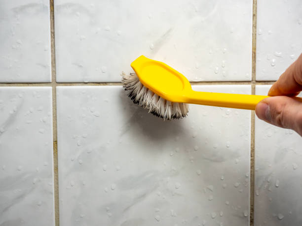Professional Mold Remediation in Gore, OK