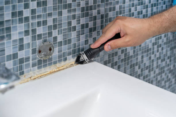 Best Health and Safety Mold Remediation in Gore, OK